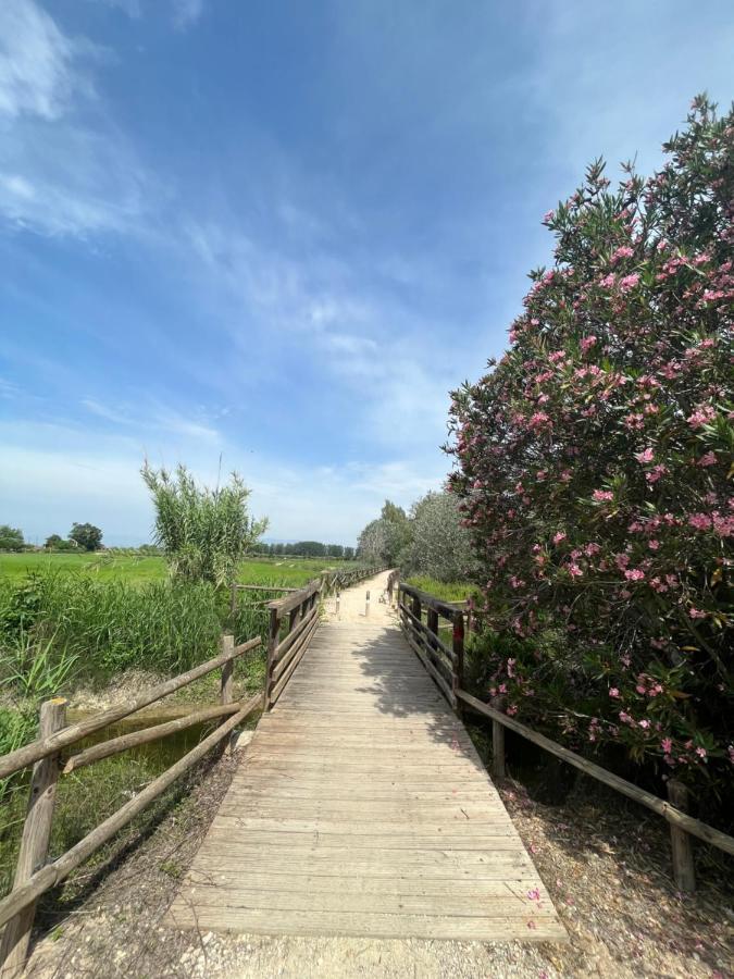 El Secreto Del Descanso Del Ebro Sant Jaume d'Enveja Εξωτερικό φωτογραφία